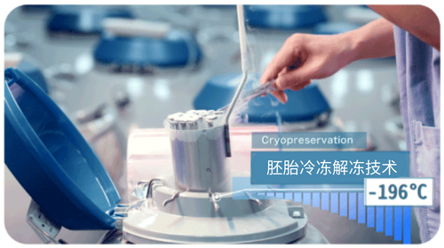 胚胎冷冻解冻技术 胚胎冷冻解冻技术