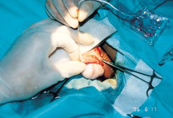 care01_info020_1-26 care01_info020_1-26